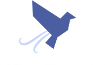 new-jav-net.xvideos-porn.org